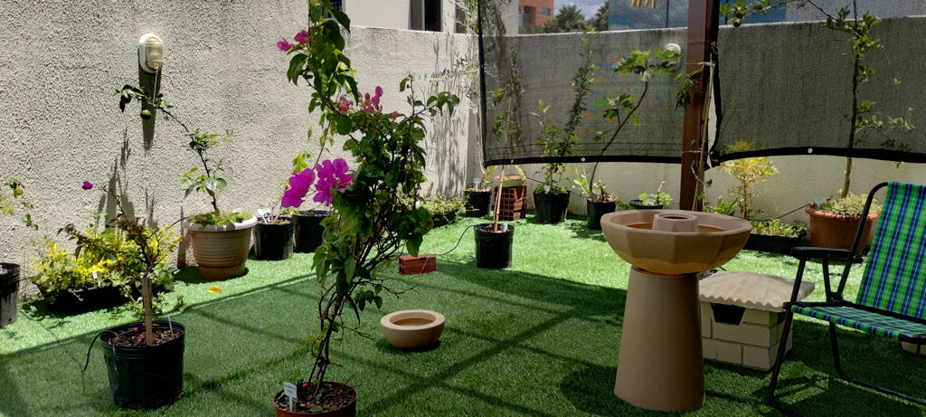 Instalação de grama sintética em terraço com plantas