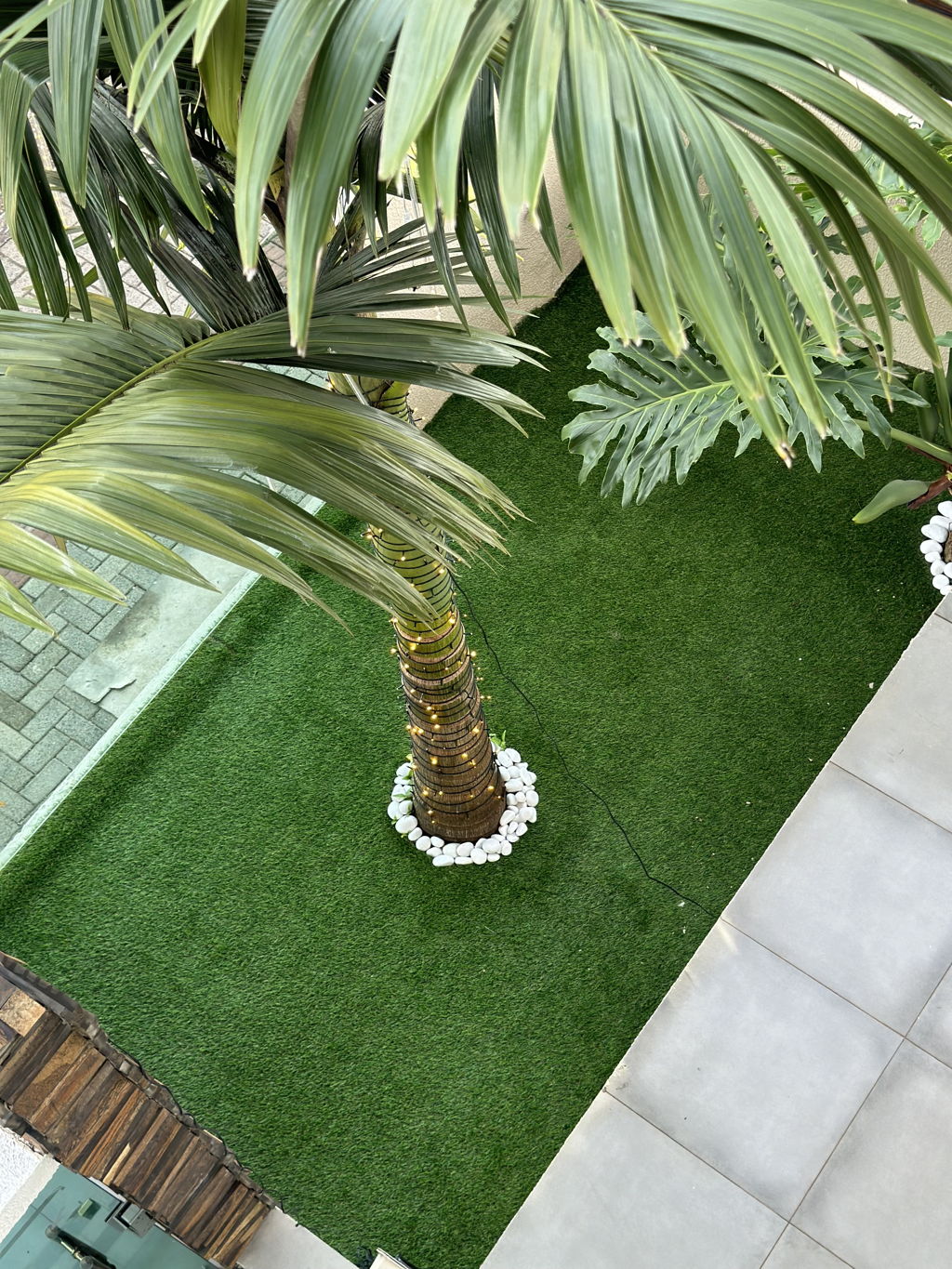 Jardim com palmeira e grama sintética